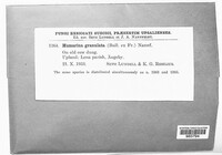 Image Associated With the Occurence